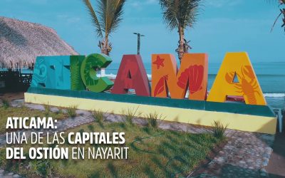 Aticama, San Blas, una de las capitales del ostión en Nayarit (video)